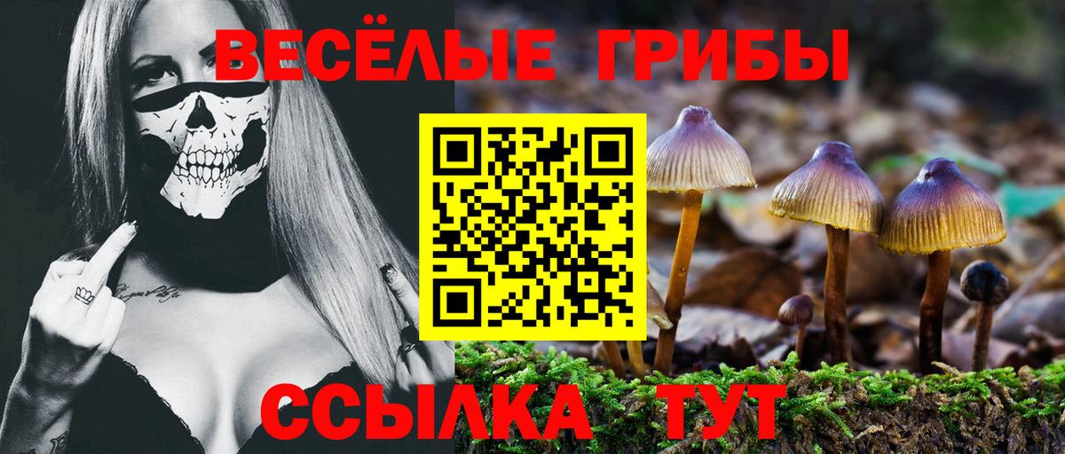 Псилоцибиновые грибы Cubensis  Псилоцибиновые грибы мицелий  Вход с VPN  Северобайкальск 